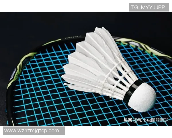 羽毛球的艺术与战术:深入分析北京羽毛球队的进攻策略与技巧